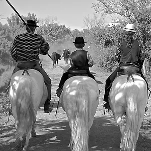 Mas Du Menage En Camargue Manade Clauzel France